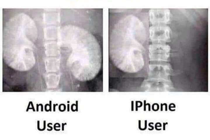 Iphone y Android users