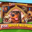 Tragamonedas The Dog House Multihold de Pragmatic Play