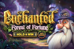 Enchanted: Revisión de la tragamonedas Forest of Fortune