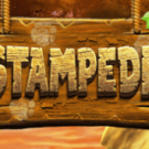 Tragamonedas 
Stampede