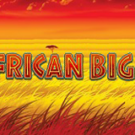 Tragamonedas 
African Big 5