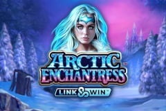 Revisión de la tragamonedas Arctic Enchantress