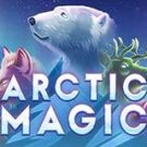 Tragamonedas 
Arctic Magic