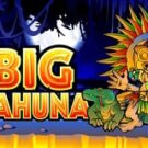 Tragamonedas 
Big Kahuna