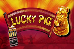 Tragamonedas 
Lucky Pig