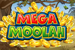 mega moolha