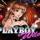 Tragamonedas 
Playboy Wilds