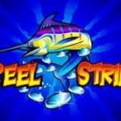 Tragamonedas 
Reel Strike