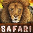 Tragamonedas 
Safari