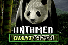 Tragamonedas de panda gigante salvaje