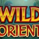 Tragamonedas 
Wild Orient