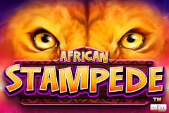 Tragamonedas online African Stampede