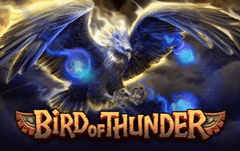 Tragamonedas 
Bird Of Thunder