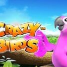 Tragamonedas 
Crazy Birds