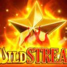 Tragamonedas 
Wild Streak