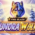 Tragamonedas 
Fire Blaze: Tundra Wolf