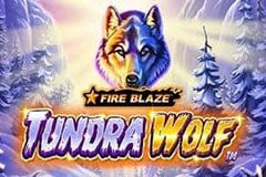 Fire Blaze: Tragamonedas Tundra Wolf