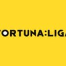 Tragamonedas 
Fortuna:Liga