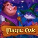 Tragamonedas 
Magic Oak