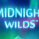 Tragamonedas 
Midnight Wilds