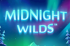 Máquina tragamonedas Midnight Wilds