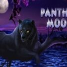 Tragamonedas 
Panther Moon