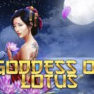 Tragamonedas 
Goddess of Lotus Blooming Wonder