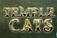 Gatos del templo