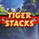 Tragamonedas 
Tiger Stacks