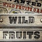 Tragamonedas 
Wild Fruits