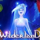 Tragamonedas 
Wilderland