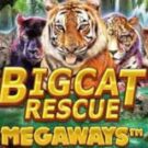 Tragamonedas 
Big Cat Rescue Megaways