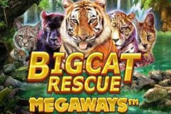 Tragamonedas 
Big Cat Rescue Megaways