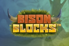 Tragamonedas 
Bison Blocks