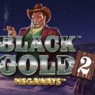 Tragamonedas 
Black Gold 2 Megaways