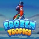 Tragamonedas 
Frozen Tropics