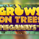 Tragamonedas 
Grows on Trees Megaways