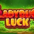 Tragamonedas 
Ladybug Luck