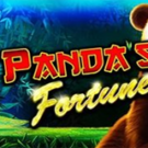 Tragamonedas 
Panda’s Fortune