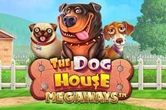 Tragamonedas 
The Dog House Megaways