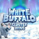 Tragamonedas 
White Buffalo Cluster Wins