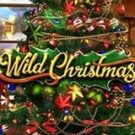 Tragamonedas 
Wild Christmas