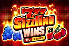 Tragamonedas 
777 Sizzling Wins: 5 Lines