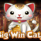 Tragamonedas 
Big Win Cat