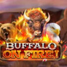 Tragamonedas 
Buffalo on Fire