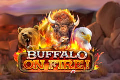 Tragamonedas 
Buffalo on Fire