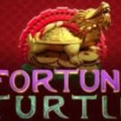 Tragamonedas 
Fortune Turtle