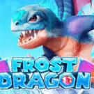 Tragamonedas 
Frost Dragon