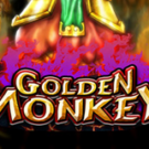 Tragamonedas 
Golden Monkey