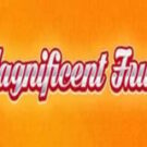 Tragamonedas 
Magnificent Fruits 3×3